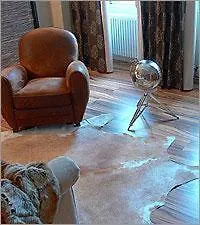 Elements Ratisbona